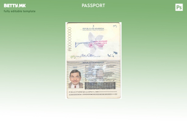 Шаблон за пасош на Никарагва во модерен стил